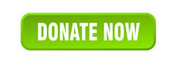 DONATE-NOW-Footer